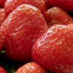 20130104-strawberryfair-hotel.jpg