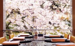 桜の見えるホテル特集　タイトル画像